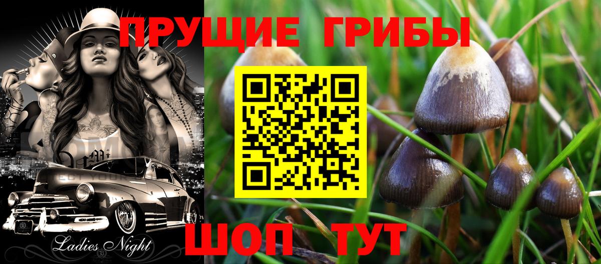Псилоцибиновые грибы мухоморы Нурлат