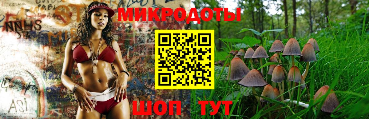 Нурлат  Галлюциногенные грибы Psilocybe  Вход с VPN 